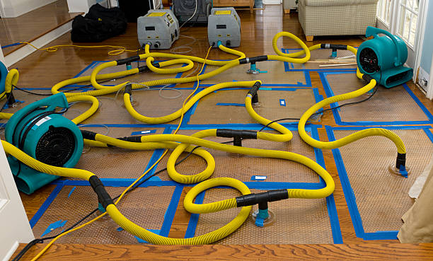 Professional Water Damage Repair technician working in Gold Hill, NC